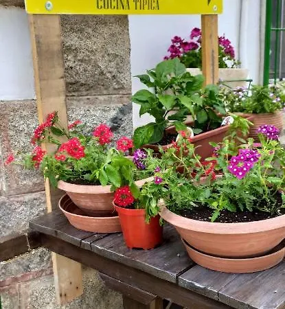 Bed & Breakfast Staziona E Dormi *