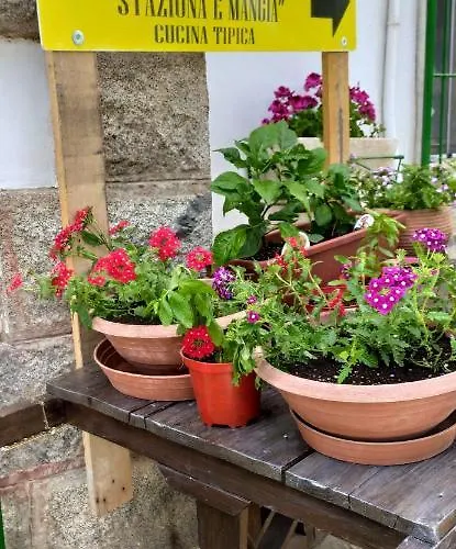 Alojamento de Acomodação e Pequeno-almoço Staziona E Dormi 3*